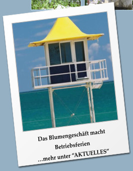 Das Blumengeschft macht Betriebsferien mehr unter AKTUELLES